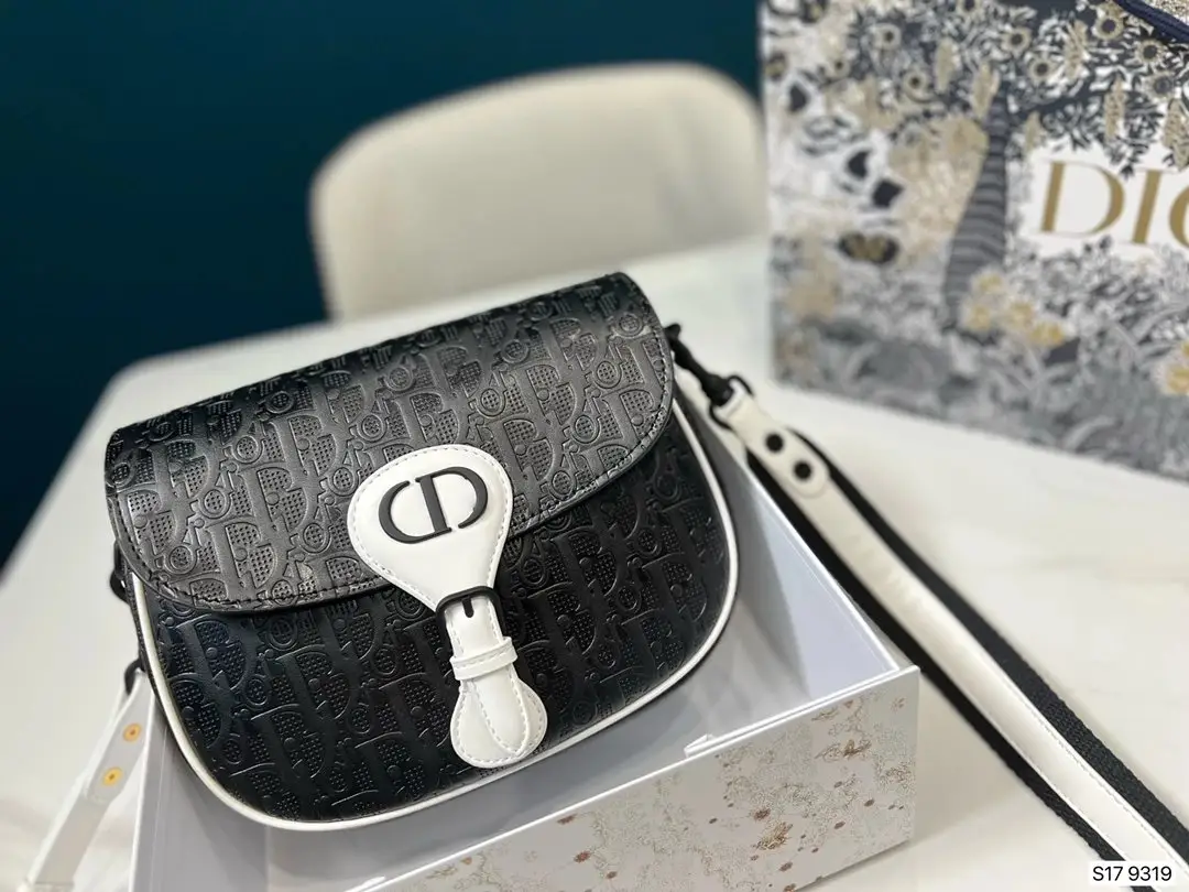 Dior Saddle Bag [15 styles]