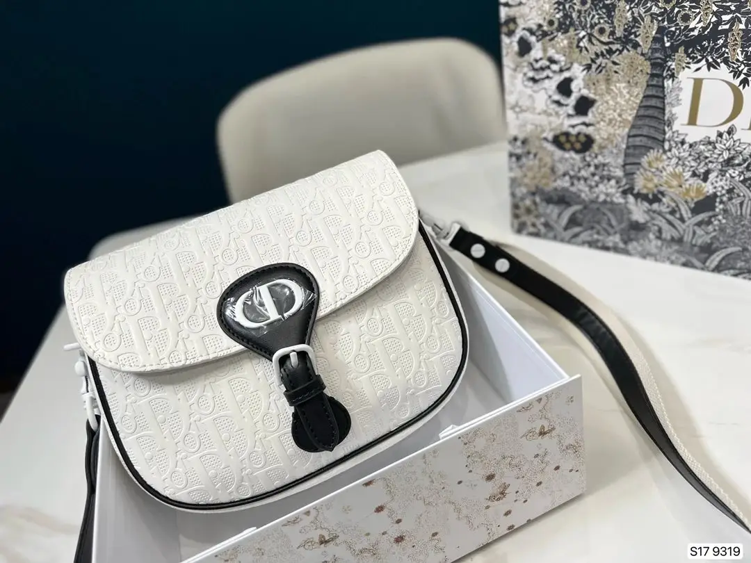 Dior Saddle Bag [15 styles] 2